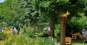 Holunderblütenfest im Distelhof-Garten