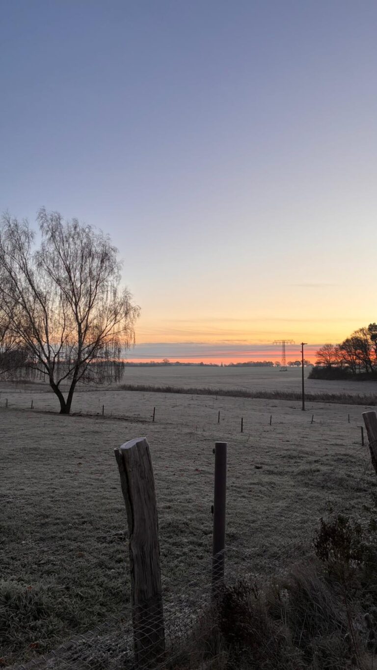 Herbsttag im Distelhof