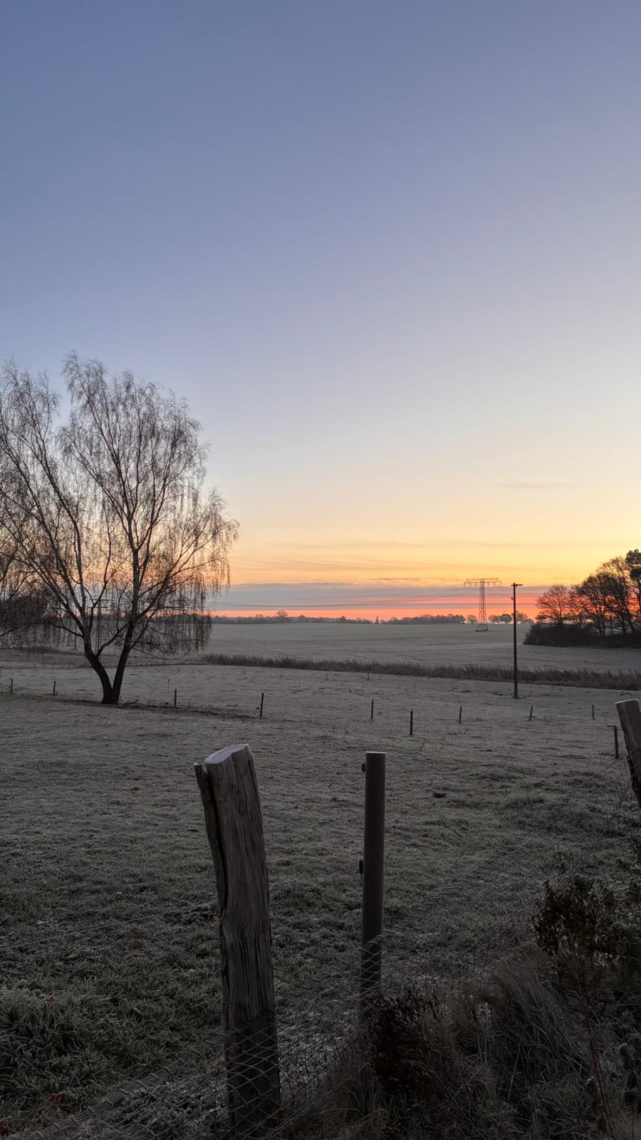 Herbsttag im Distelhof