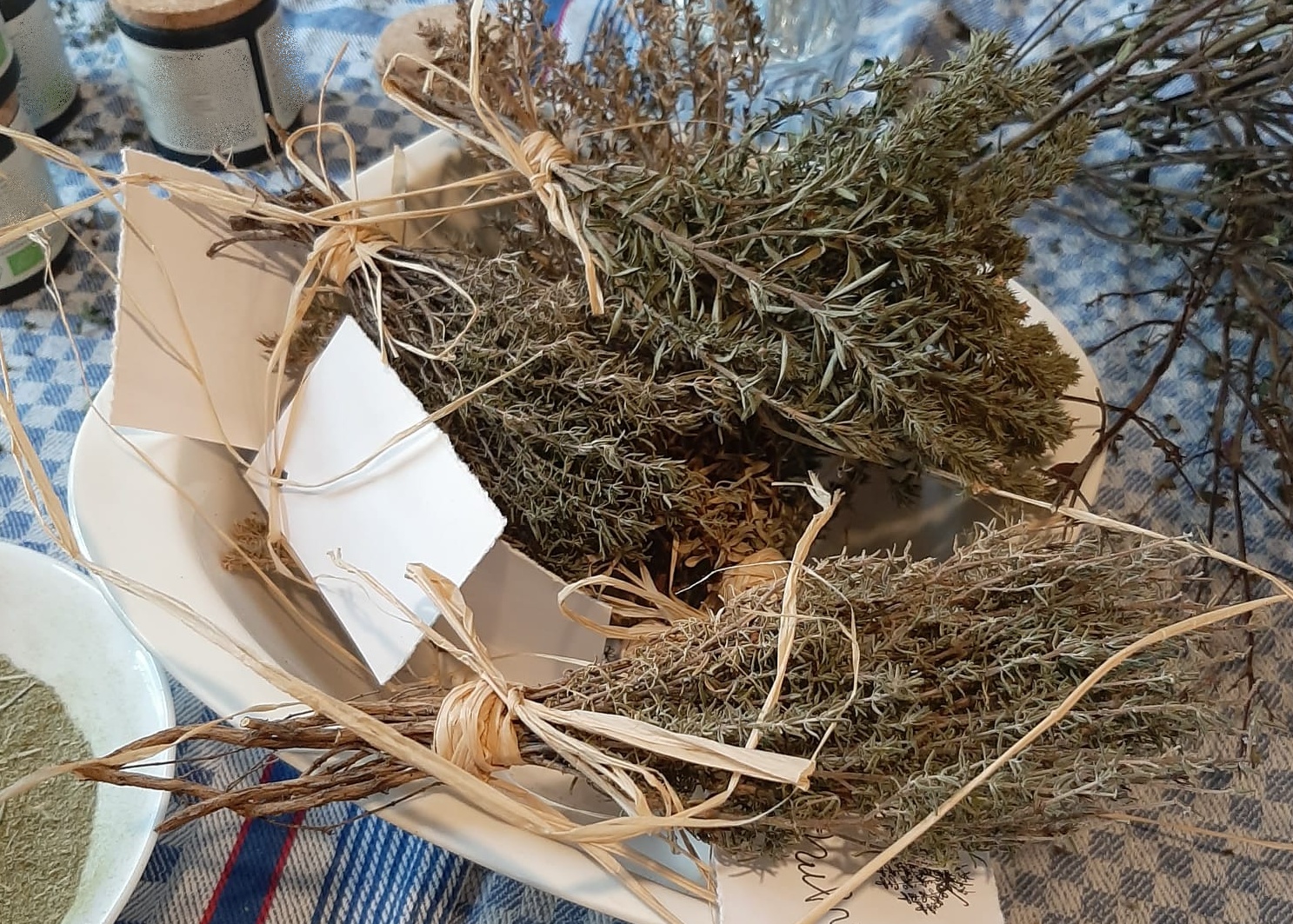 Kräuterernte in unserem Projekt